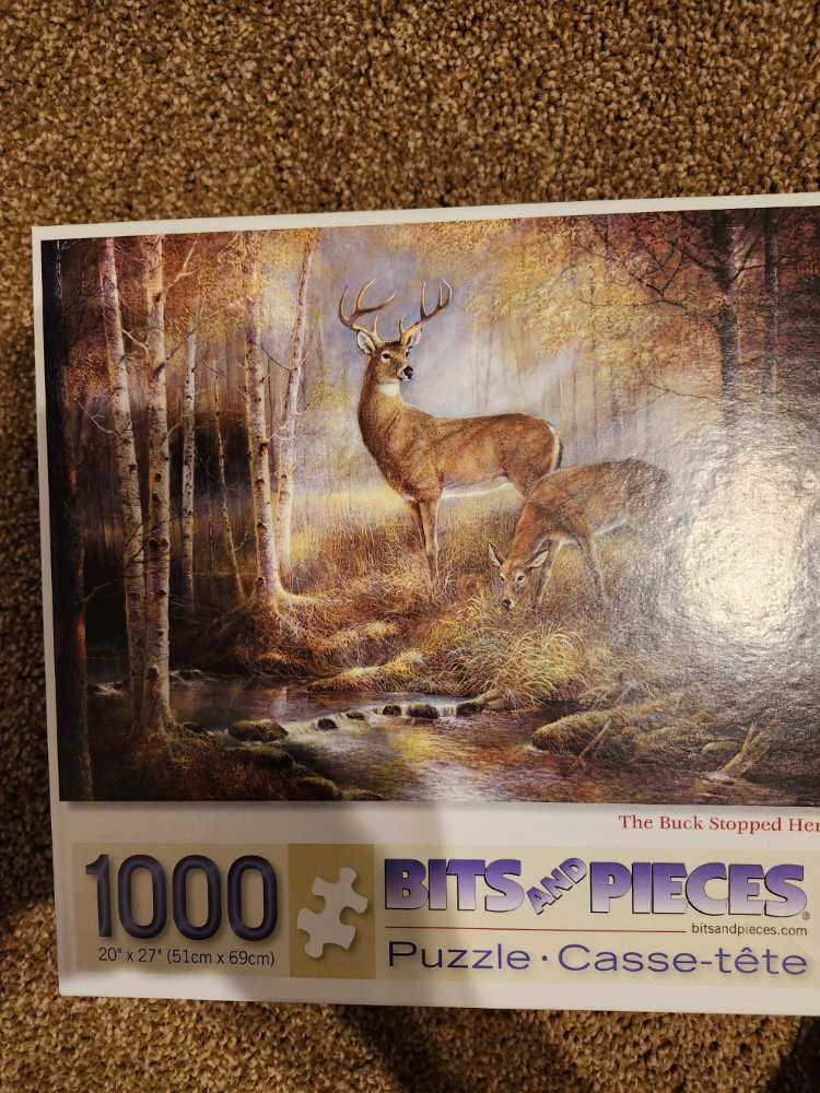 Spidey & His Amazing Friends