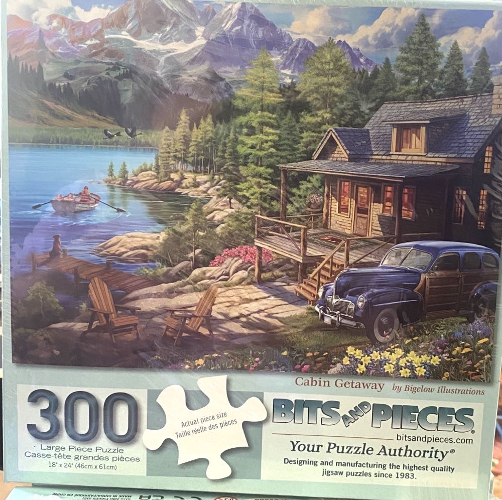 Bicycling In The Forest