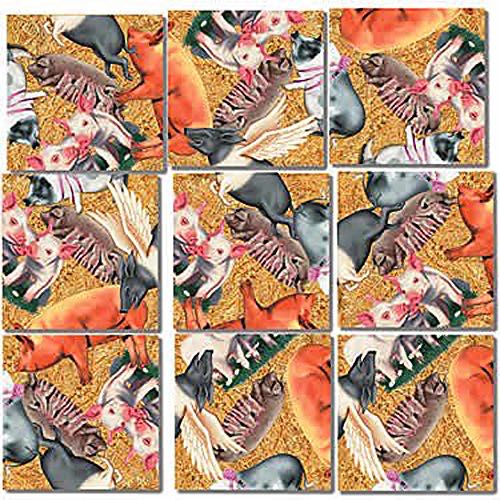 Italy’s Cinque Terre