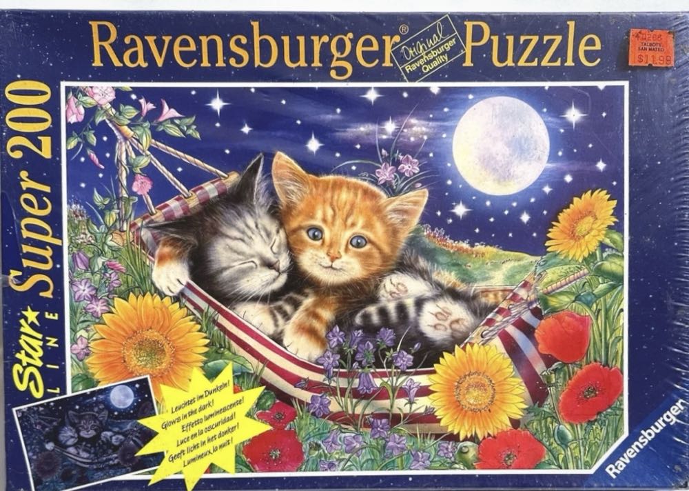 Nature Journal: Winter