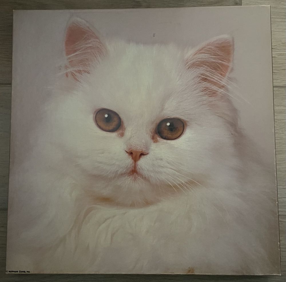 Sunsout Inc Swan Waterfall Pc Round Jigsaw Puzzle By Artist: Lori Schory Finished Size 26” Rd Mpn# 35134