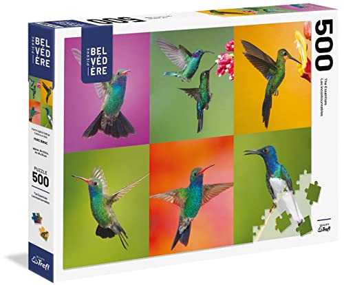 Flying Lessons DONATED Shelby Library