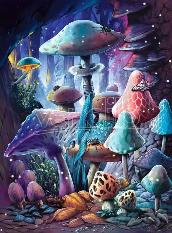 Moonlight Mushrooms - Ravensburger puzzle collectible [Barcode 4005555013860] - Main Image 2