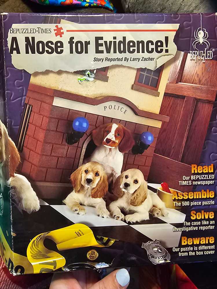 Colorluxe Piece Birdhouses Flowers