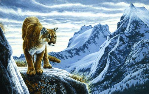 Beauty and the Beast