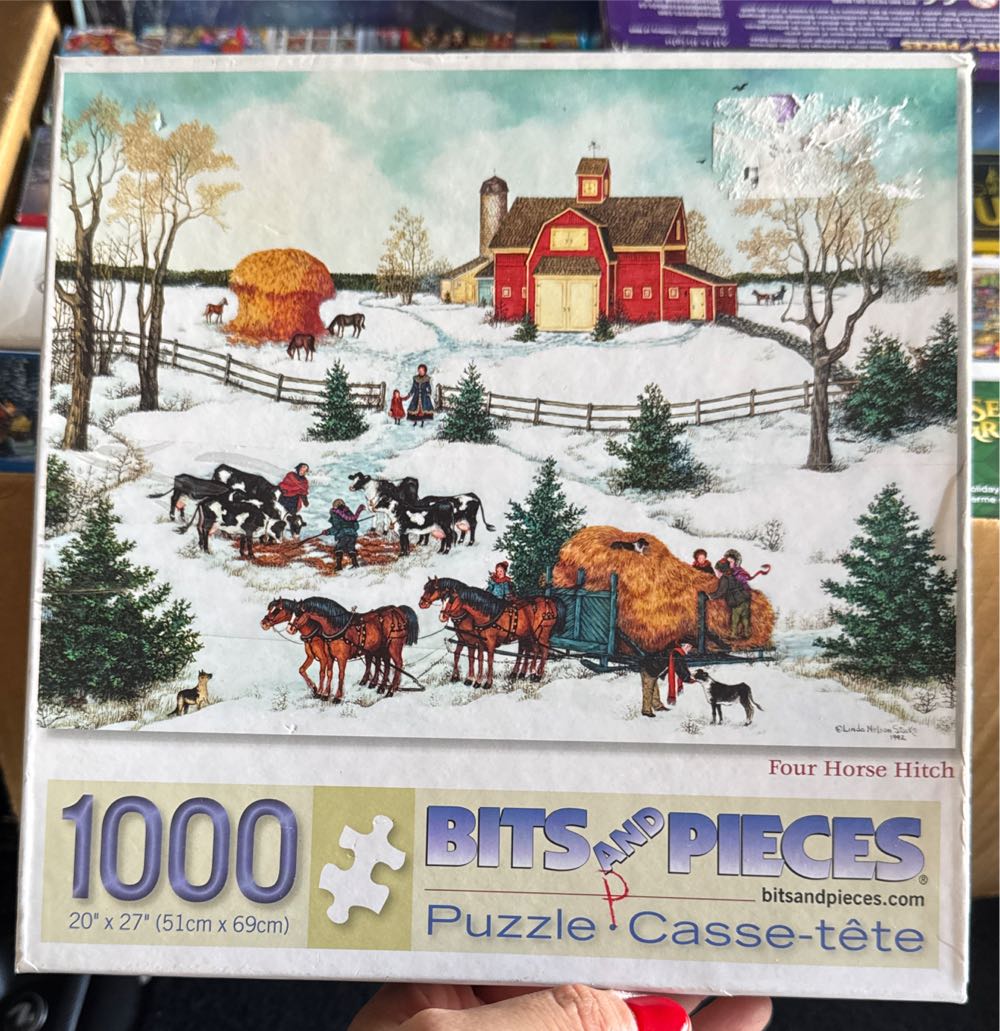 Wasgij Mystery #9 Great Train Robbery