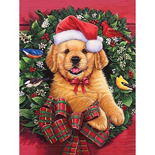 Clementoni Puzzle Pieces Pauline Paquin Collection The Neighborhood Party Poster Included Finish Size 50 X 70 Cm Compact Box From 14 Years Old To Adult 83018