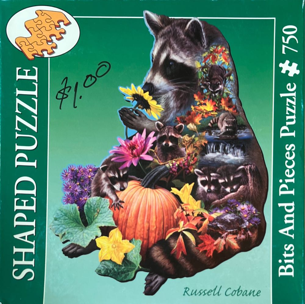 Mickey And Minnie In Florida