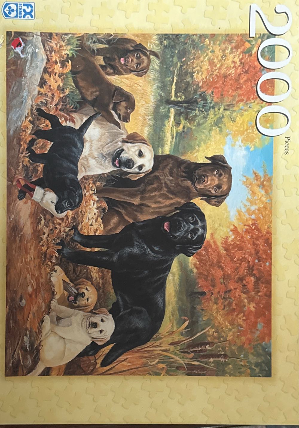 Colorful Sprinkle Donuts