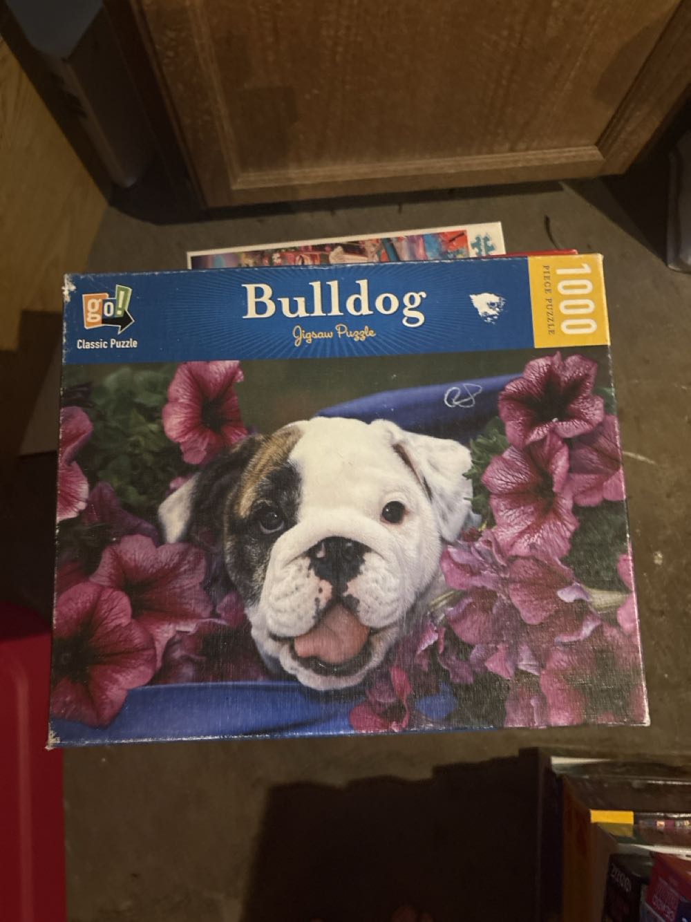 Hello, Universe - Newbery - New 2019