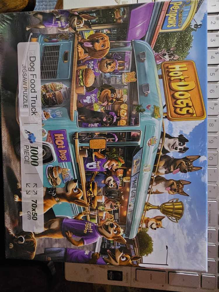 *Snowy Christmas Evening NEWFS