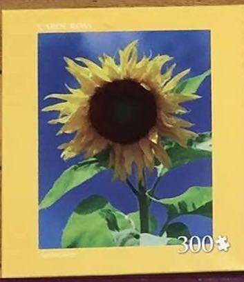 Mediterranean Lights 