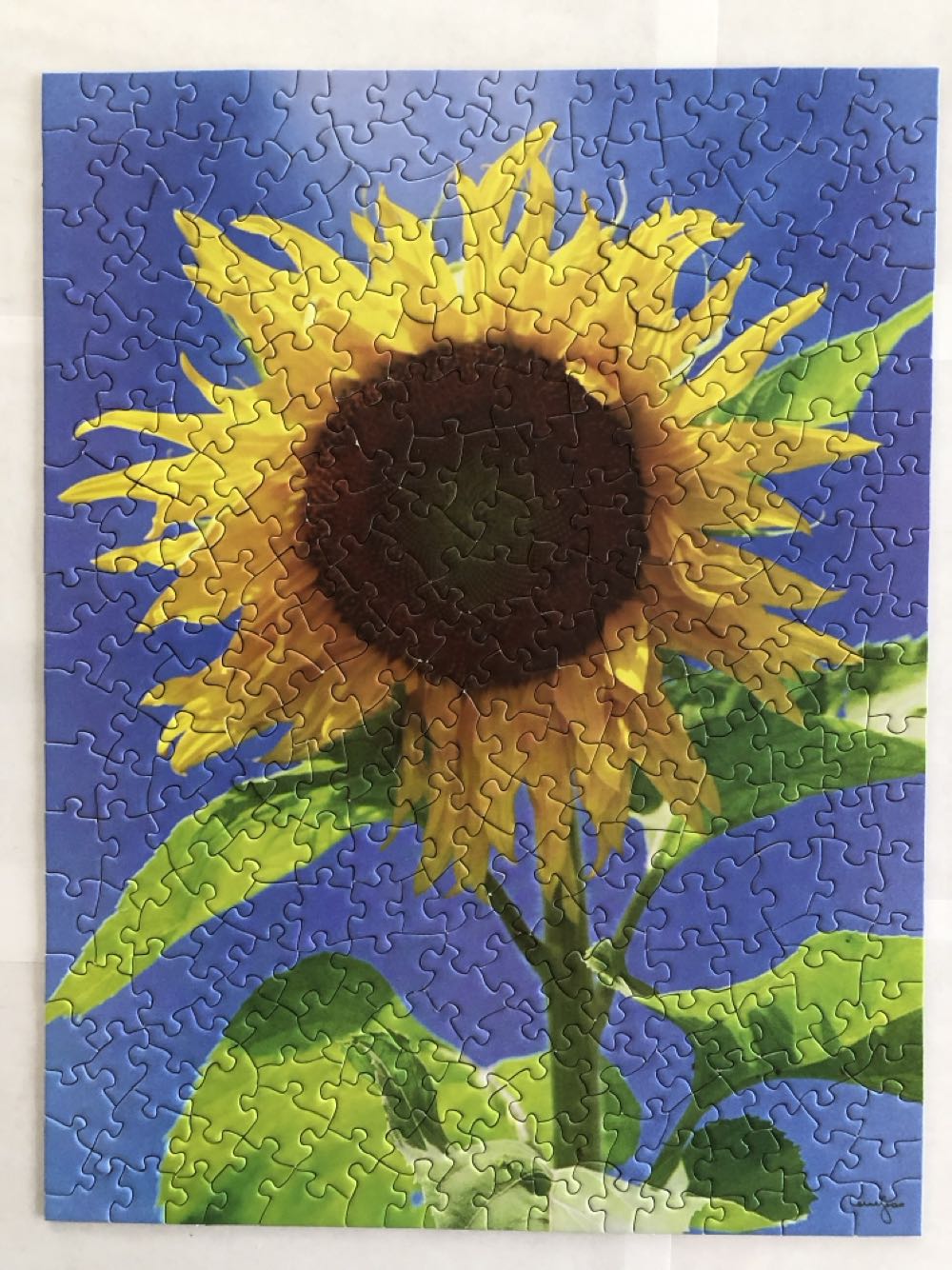 Sunflower - Unknown puzzle collectible - Main Image 2