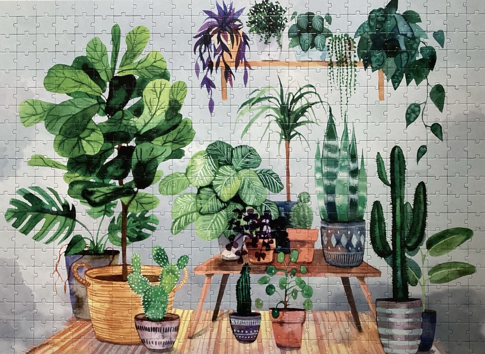 Houseplant - Professor Puzzle puzzle collectible [Barcode 5056297229209] - Main Image 2