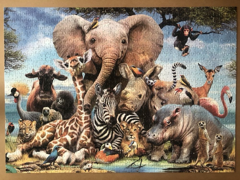 Country Diary: Summer (Agnes €13,00)