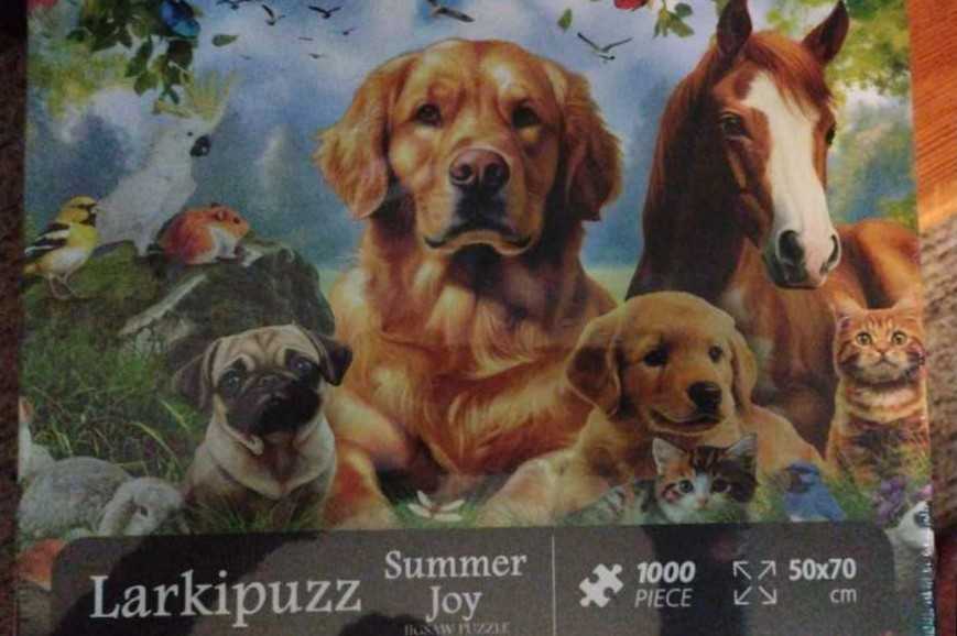 Paradise Beach : Picnic on the Beach