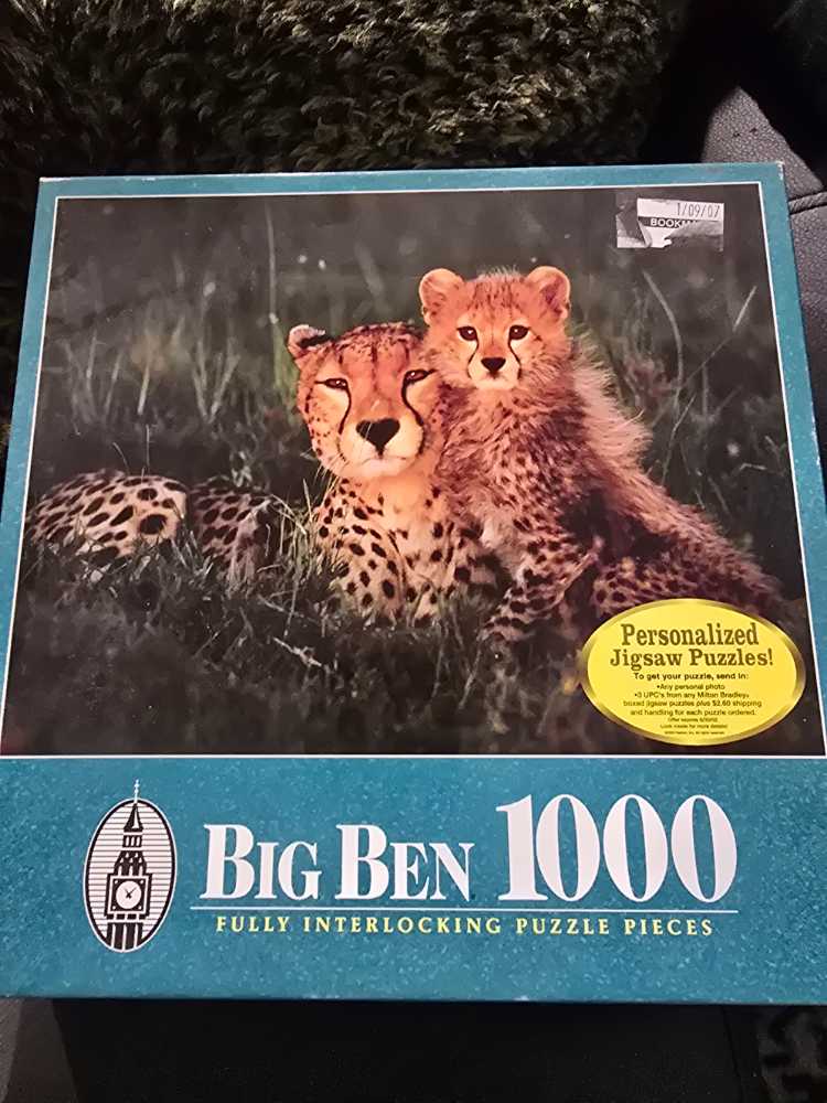 Castorland Castor In The Garden Crisantemos En El Jardín De Пазлы