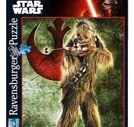 Cubby Cats And Succulents (pending Kimmie Lif)