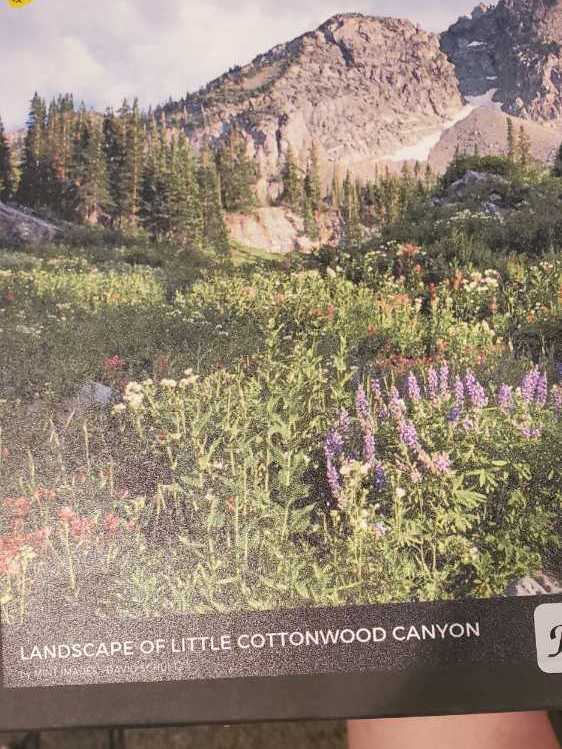 Imperial Hotel Peacock Rug