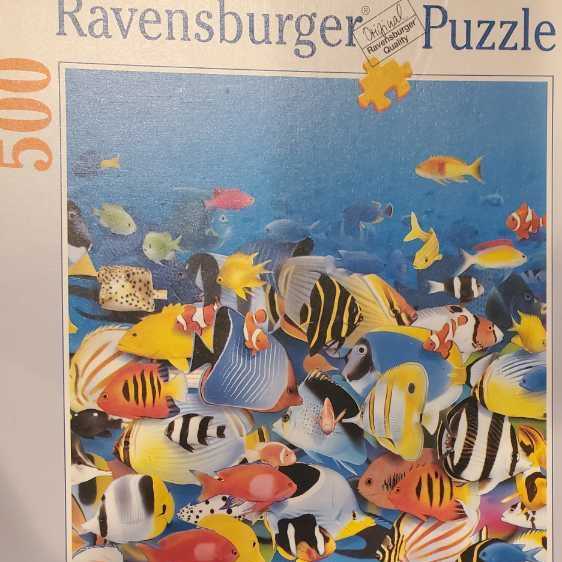 CW - Hellraisers On Halloween Night