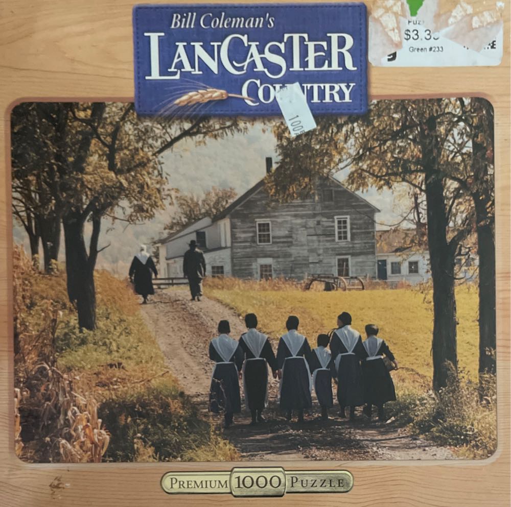 Good Evening 500 Piece Puzzle By Badge Bomb