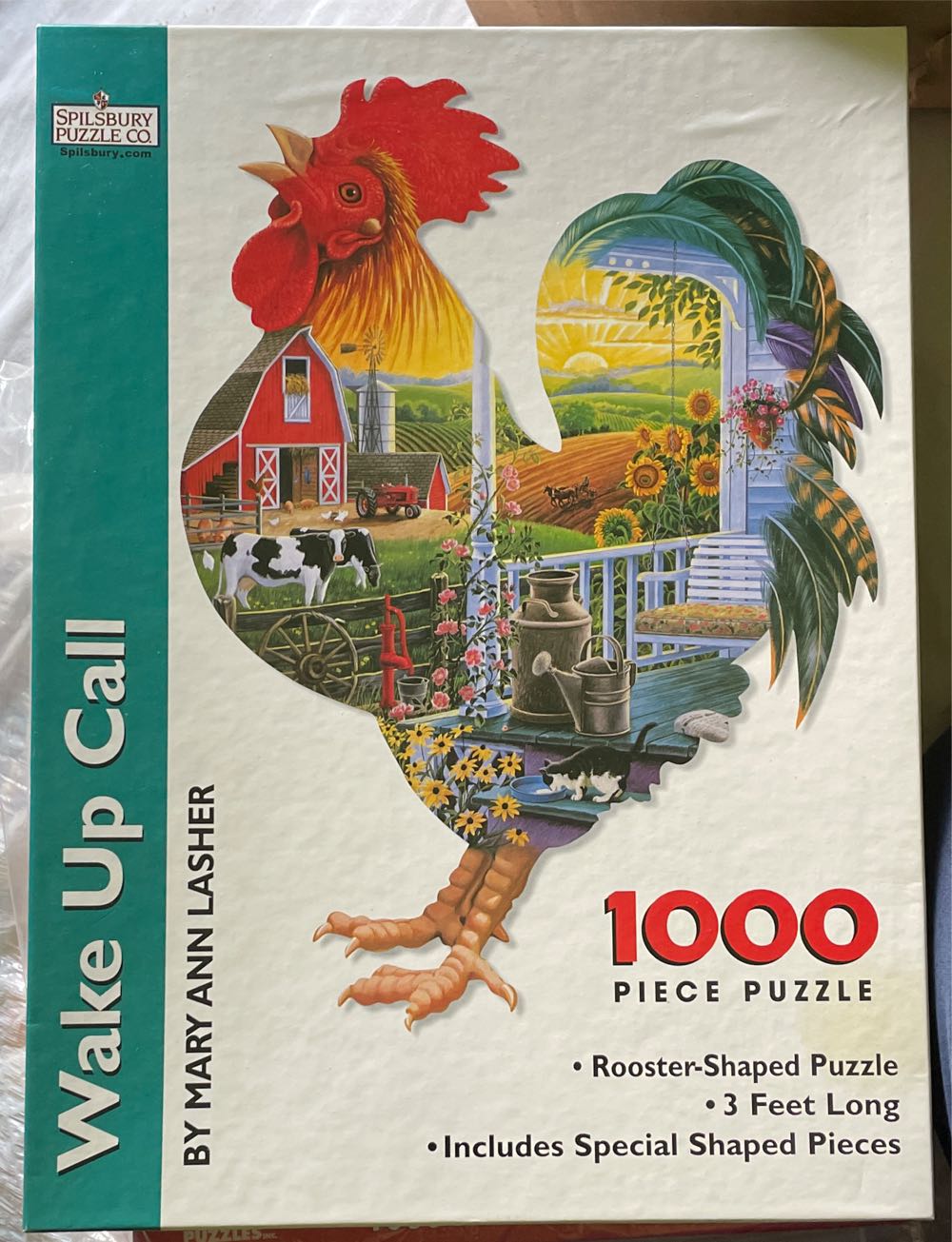 Hot Air Balloon Seaside