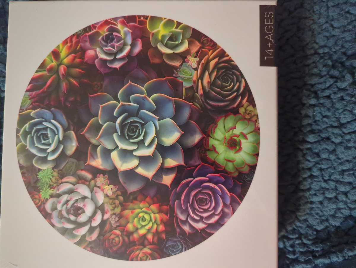 Buffalo Games | Burma Road