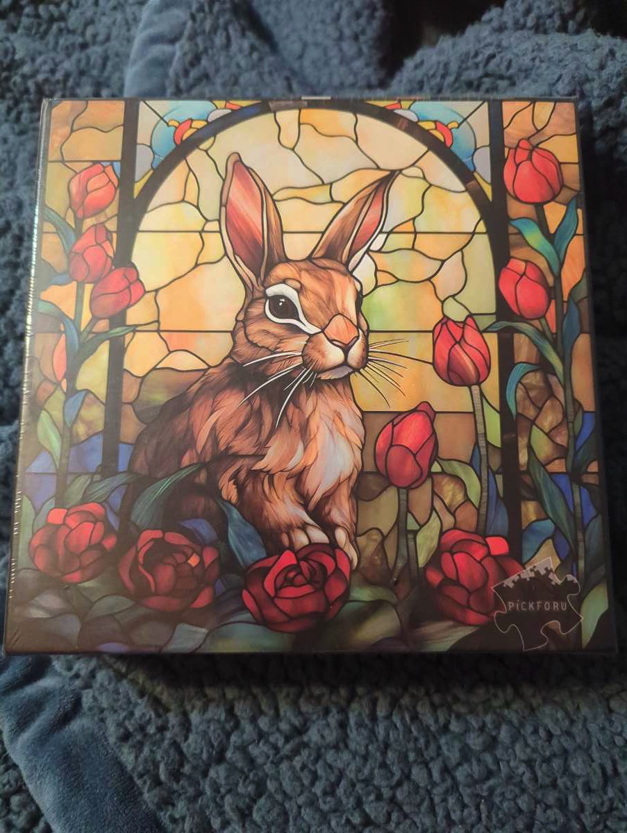 Tofino Surf British Columbia