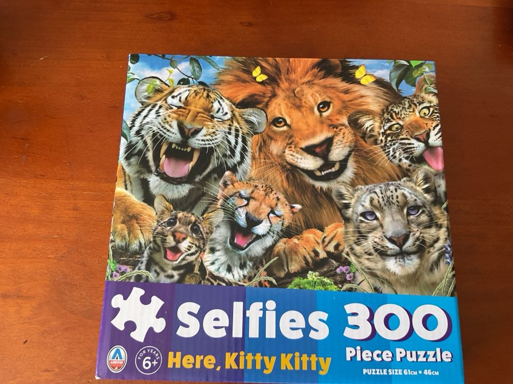 Clementoni Puzzle Pieces Pauline Paquin Collection The Neighborhood Party Poster Included Finish Size 50 X 70 Cm Compact Box From 14 Years Old To Adult 83018