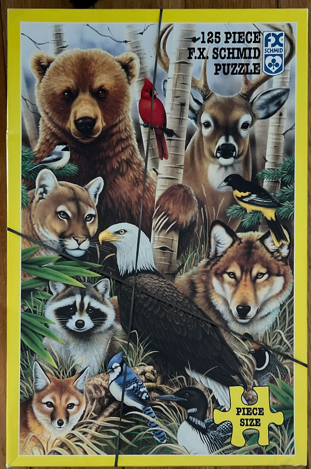 Butterflies galore**