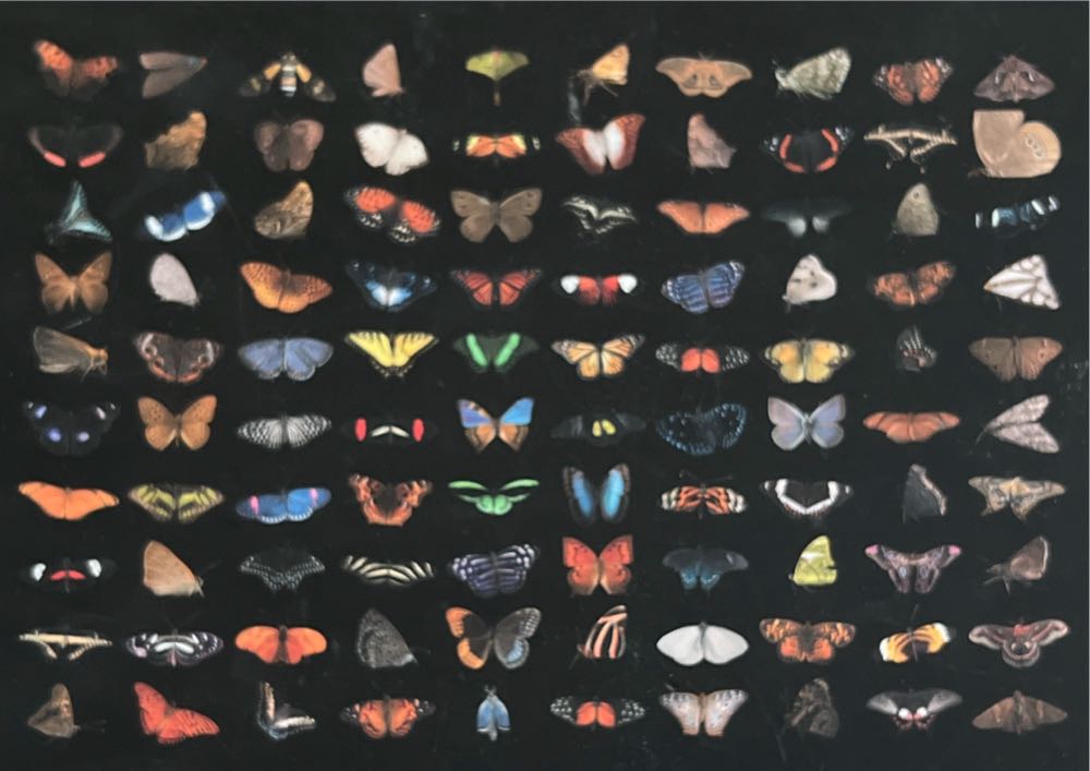 Piece Jigsaw - National Geographic Society puzzle collectible [Barcode 5060085108201] - Main Image 2