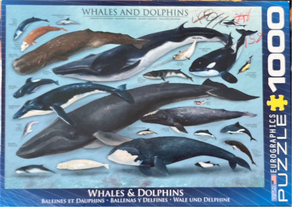 Educa Hot Air Balloons Over The Lake Piece Jigsaw Puzzle Complete