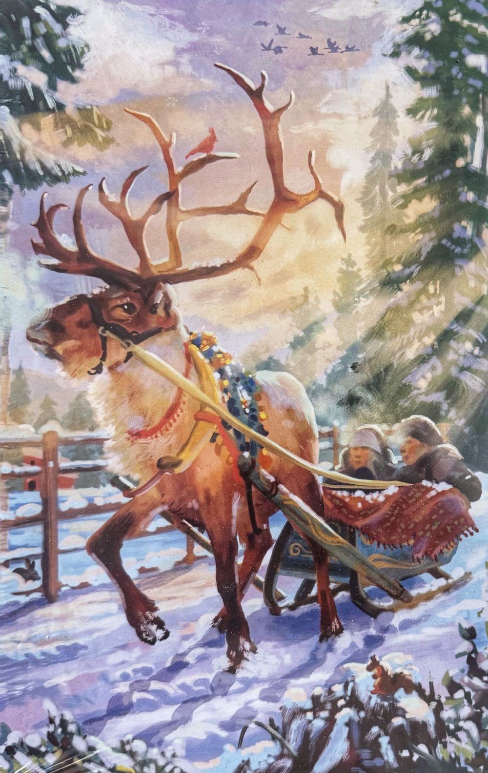 A Night At Mountmartre