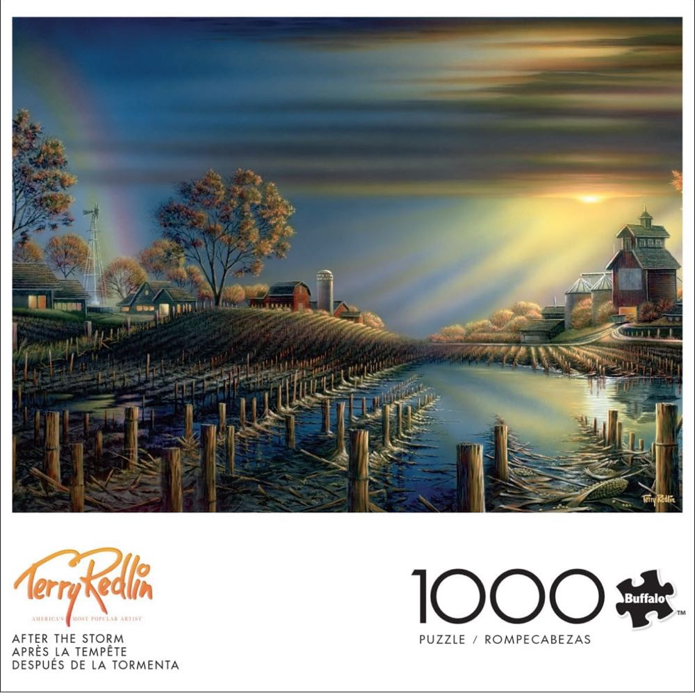 After the Storm - Buffalo 🇺🇸 puzzle collectible [Barcode 079346109319] - Main Image 2
