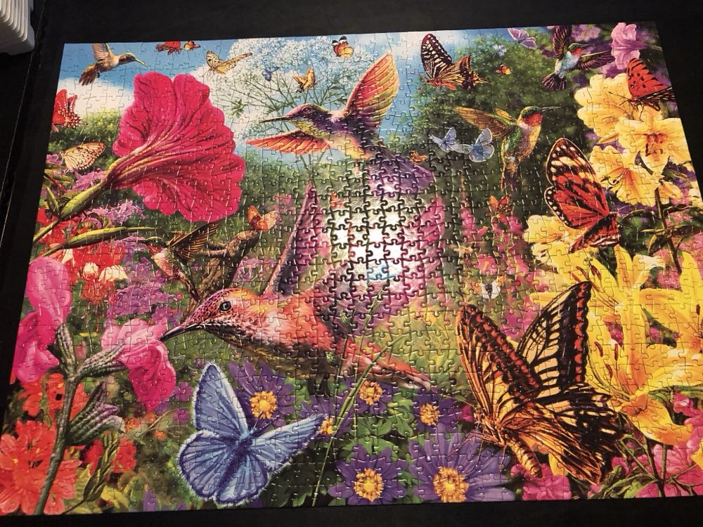 Where’s Waldo?  Safari Park