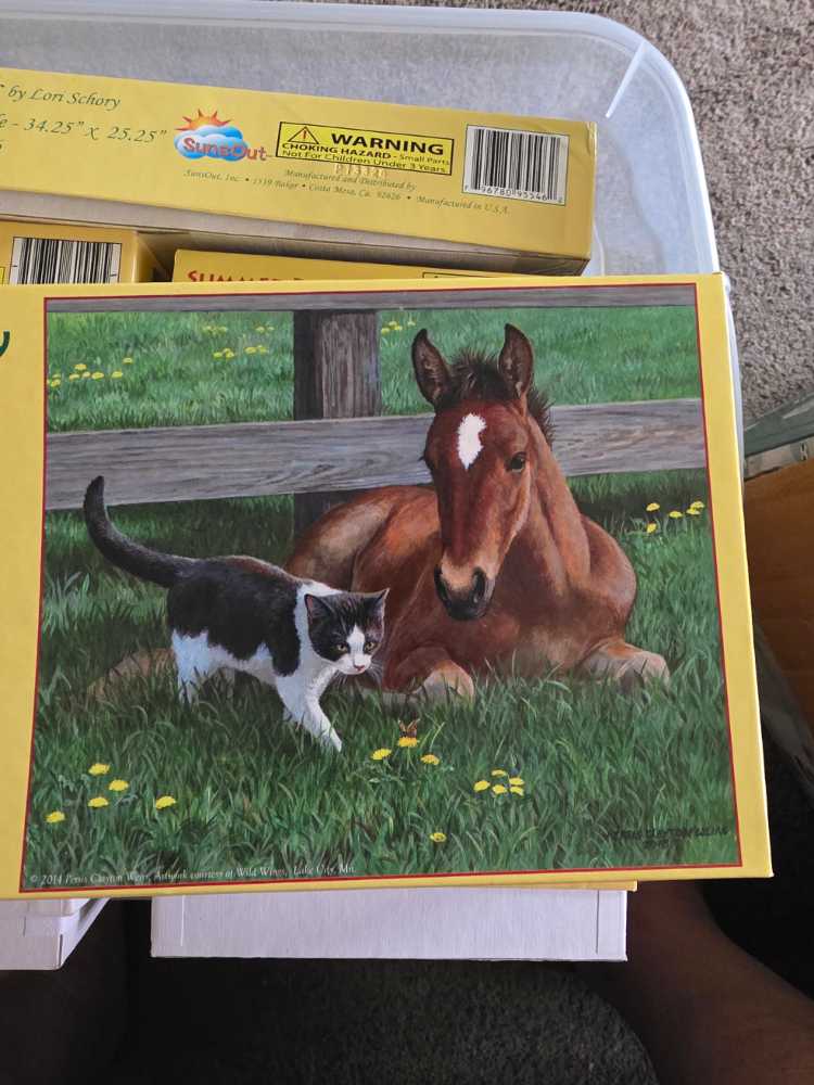 Lions And Tigers And Bears, OH MY!