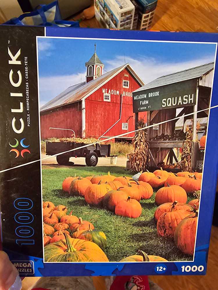 Traditional German Houses