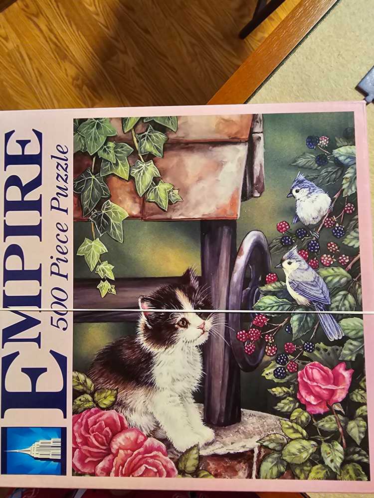 The Old Book Shop Cats