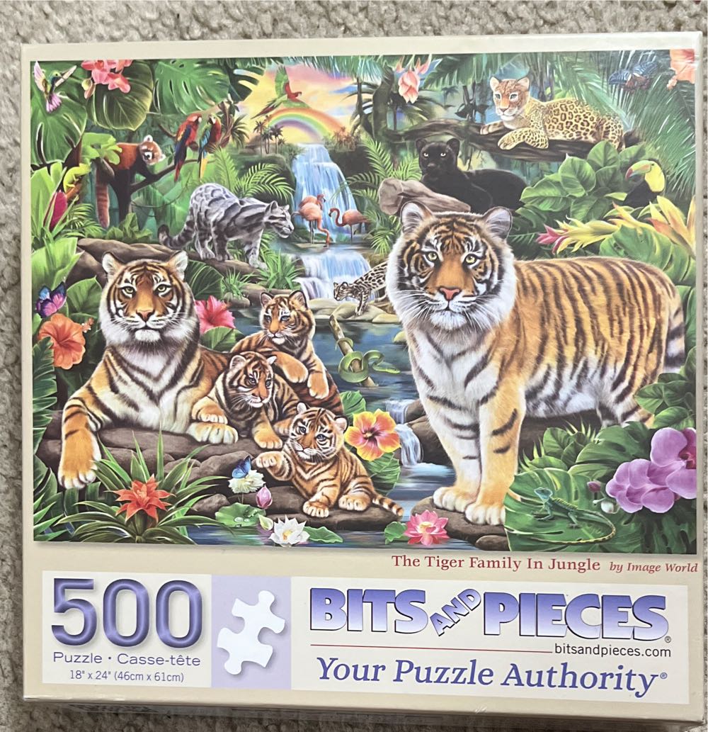 Meet The Aliens: Elara & Nox