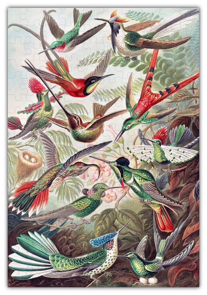 Hummingbirds (v) 🧩 - Fox Smart Box puzzle collectible - Main Image 2