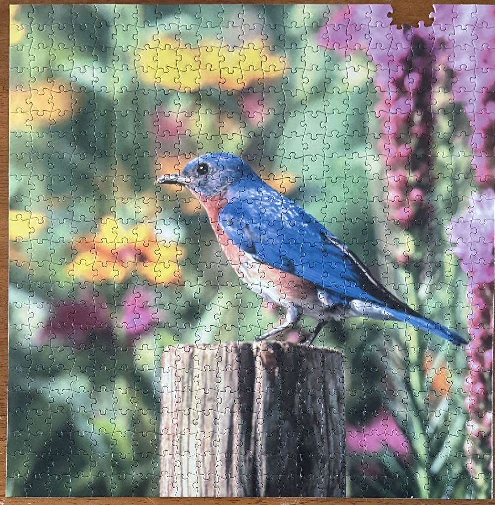 Eastern Bluebird - Audubon puzzle collectible [Barcode 079346003884] - Main Image 2