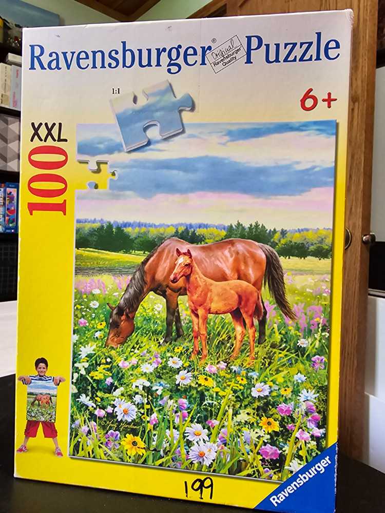 eeBoo The Alchemist’s Home - 1000pc Square Jigsaw Puzzle