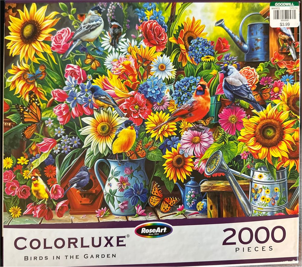 Meet The Aliens: Kylo And Mira