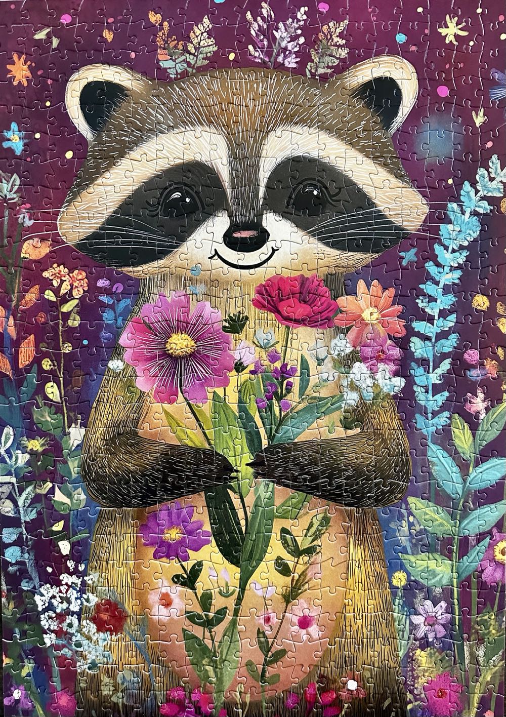 Raccoon Cutie - Ceaco puzzle collectible [Barcode 021081700016] - Main Image 2