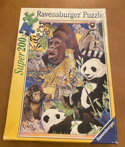 Magnificent Marvellous Matchstick Puzzles