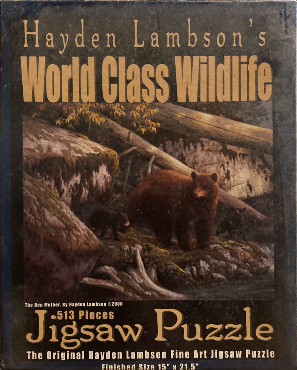 Seeing And Being Seen