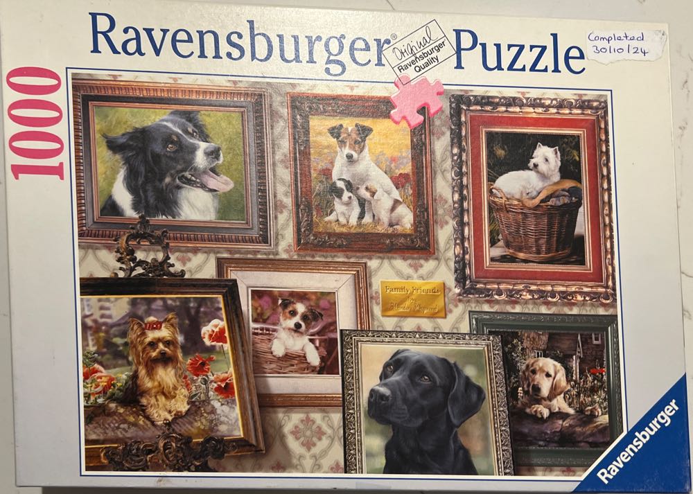 Komische Puzzel Fiesta And Siesta Bol