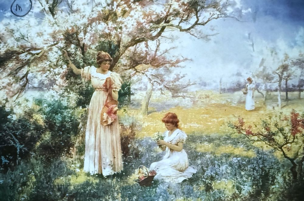 Campervan Camping Day