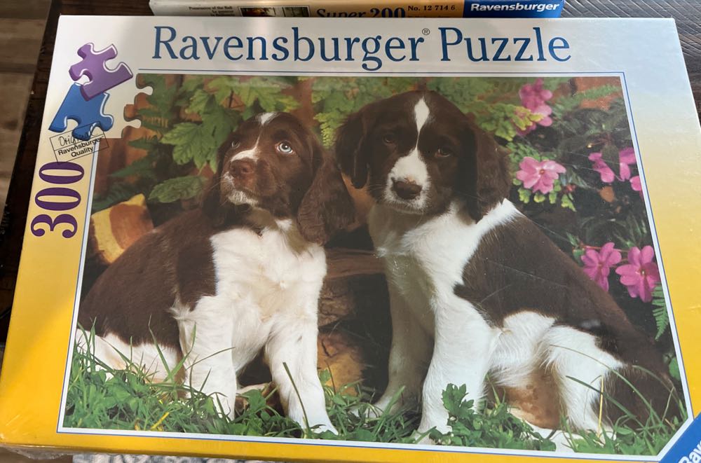 Houses Of Parliament London