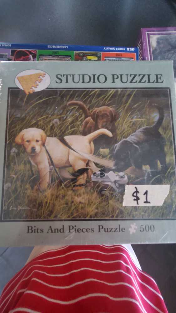 Pringles Potato Chips